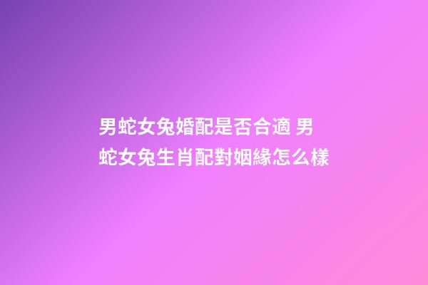 男蛇女兔婚配是否合適 男蛇女兔生肖配對姻緣怎么樣